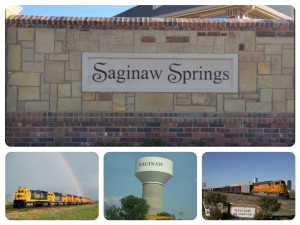 Saginaw Springs Collage